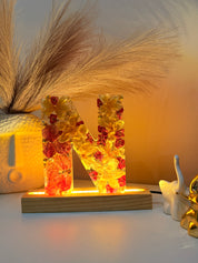 LED varmala preservation frame for wedding decor