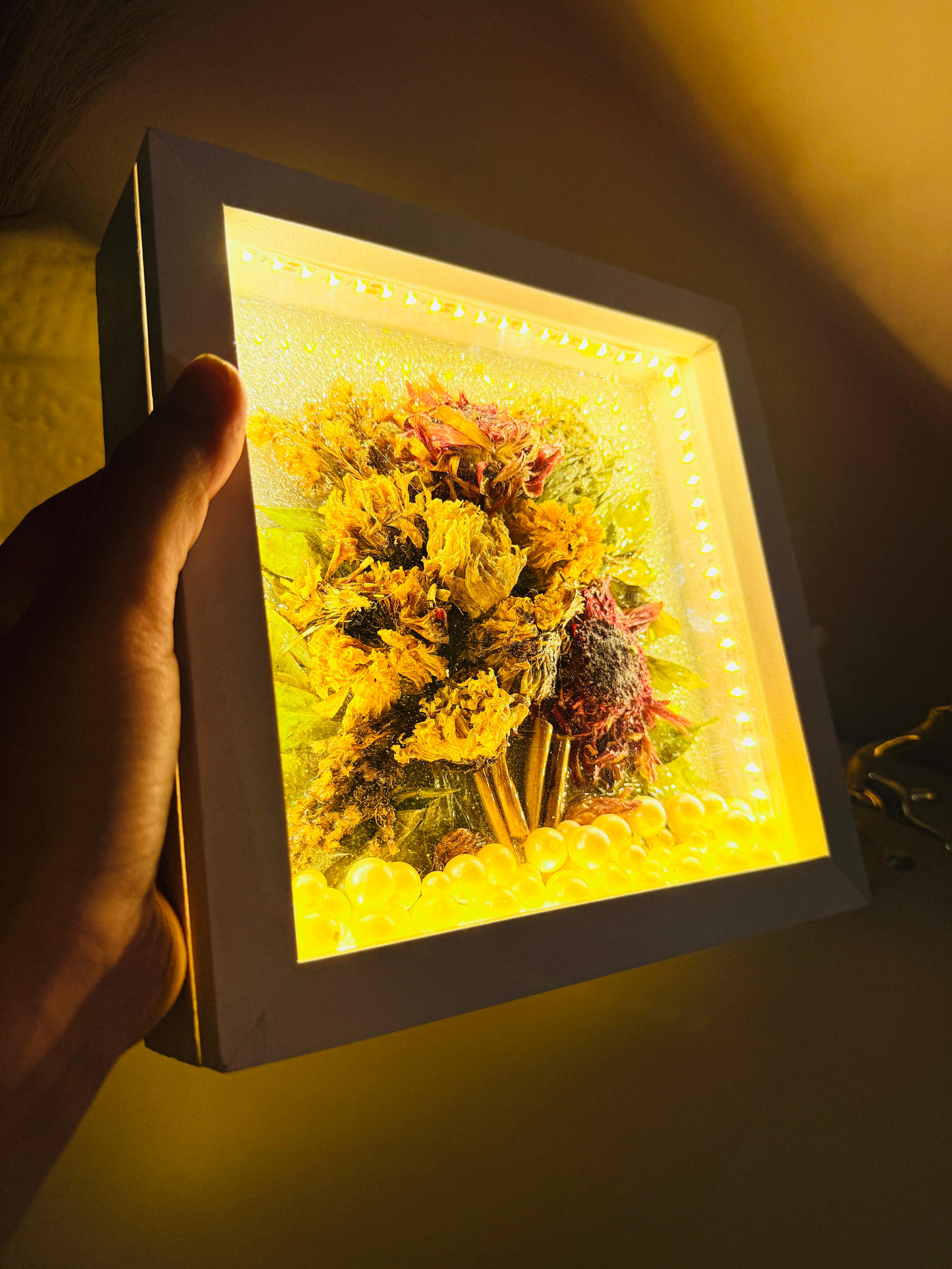 Bloom & Glow Box