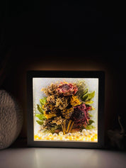 Bloom & Glow Box