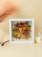 Bloom & Glow Box