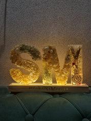 Jai mala preservation LED frame wall art